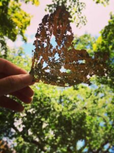 Artwork by Jieyu Jiang, China